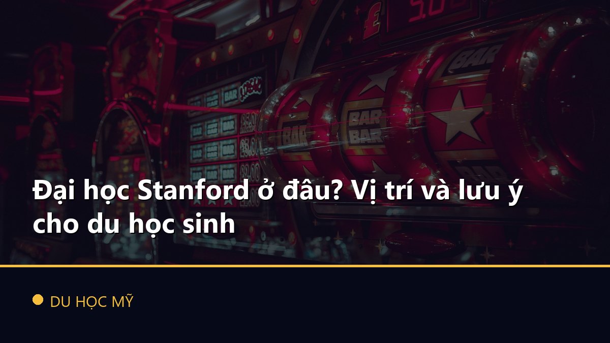 Đại học Stanford ở đâu? Vị trí và lưu ý cho du học sinh
