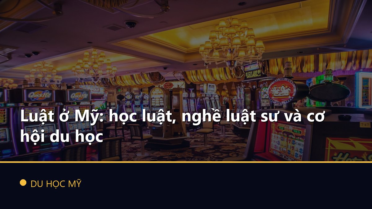 Luật ở Mỹ: học luật, nghề luật sư và cơ hội du học