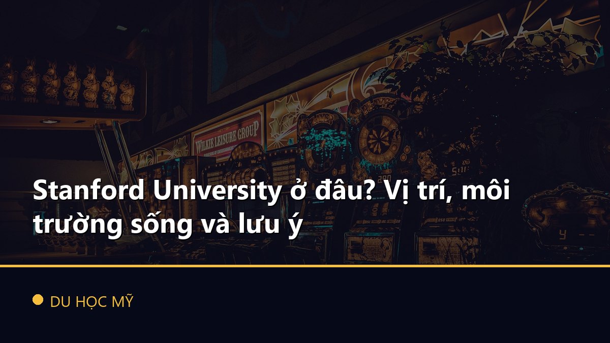 Stanford University ở đâu? Vị trí, môi trường sống và lưu ý