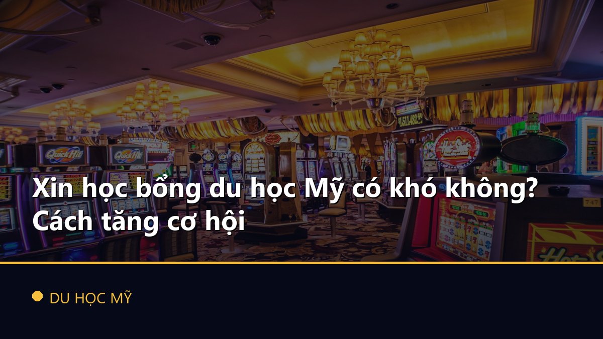 Xin học bổng du học Mỹ có khó không? Cách tăng cơ hội